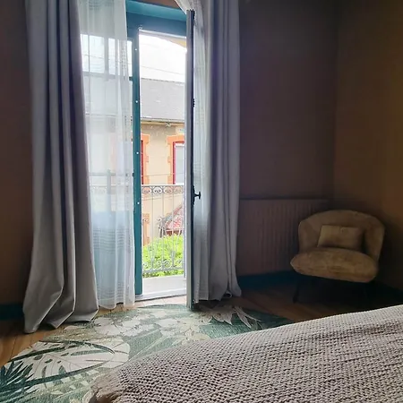 Le Logis De Placide Bed & Breakfast Tarbes