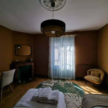 Le Logis De Placide Bed & Breakfast Tarbes